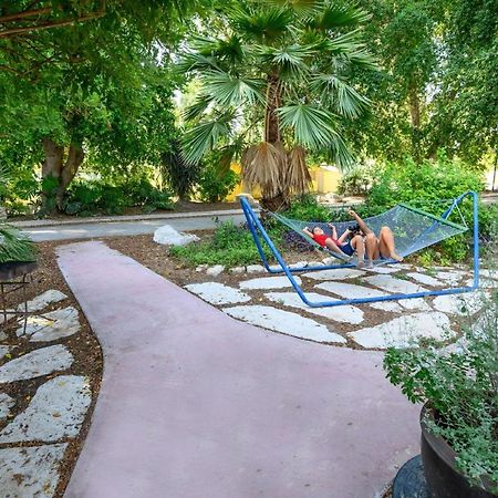 Jordan Valley Birding Lodge Kefar Ruppin Εξωτερικό φωτογραφία
