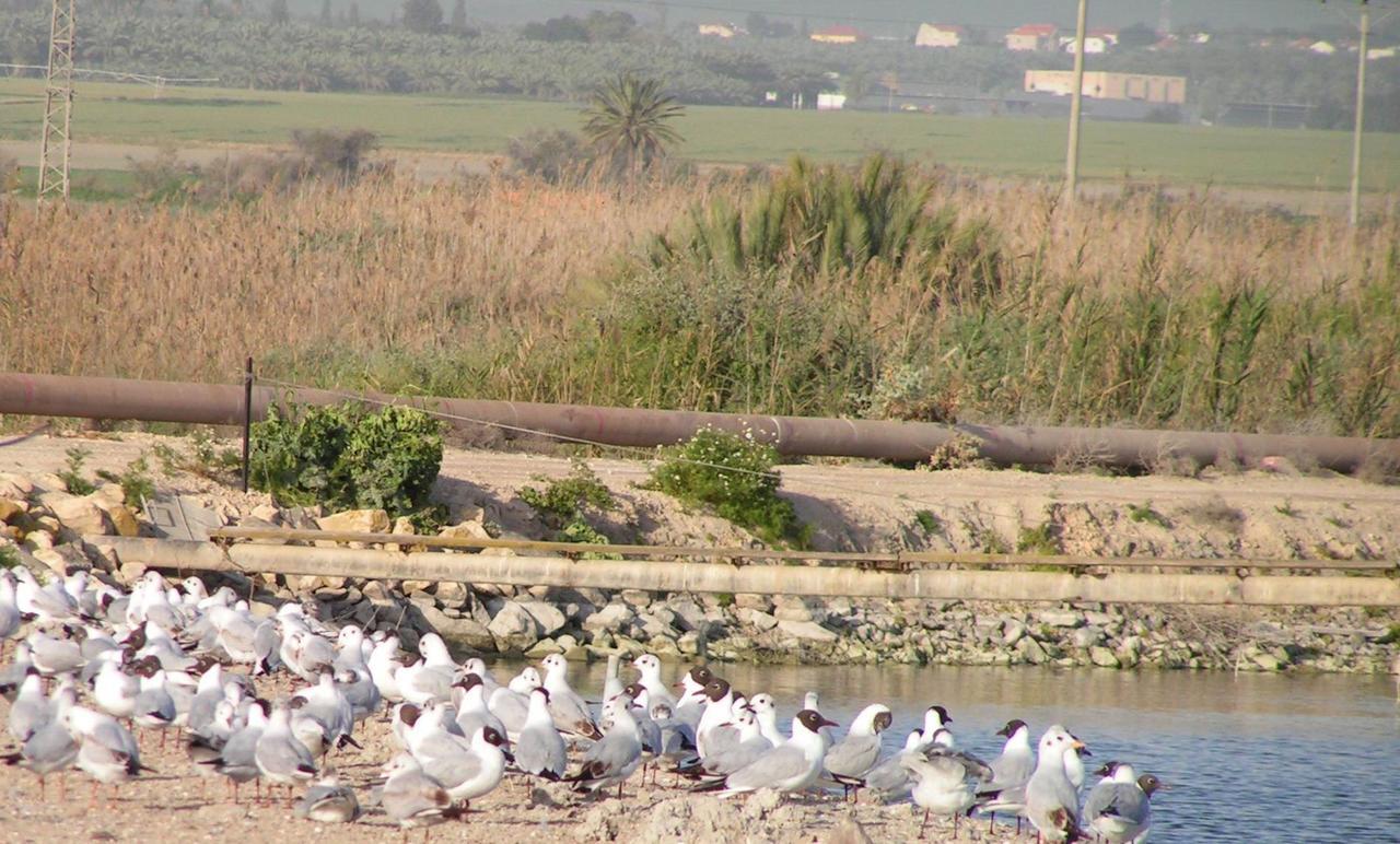 Jordan Valley Birding Lodge Kefar Ruppin Εξωτερικό φωτογραφία