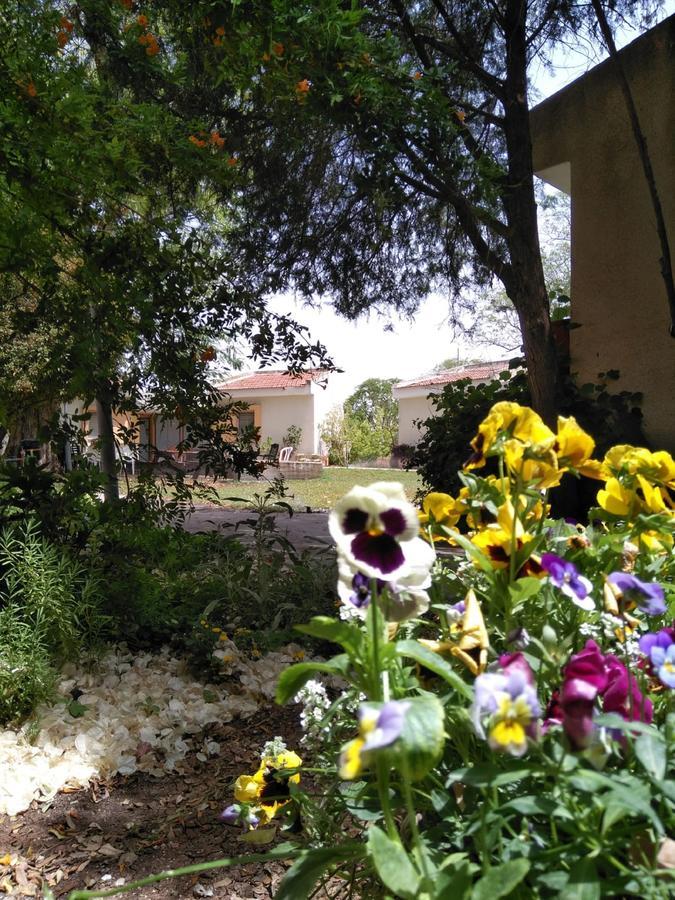 Jordan Valley Birding Lodge Kefar Ruppin Εξωτερικό φωτογραφία